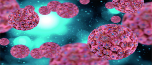 HPV Aşısı Son Durum Güncel Bilgi